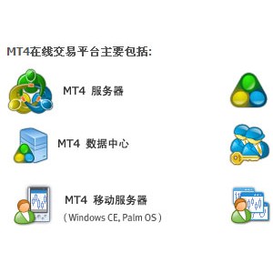 MT5白标优化台湾外汇交易平台后受到台湾民众欢迎